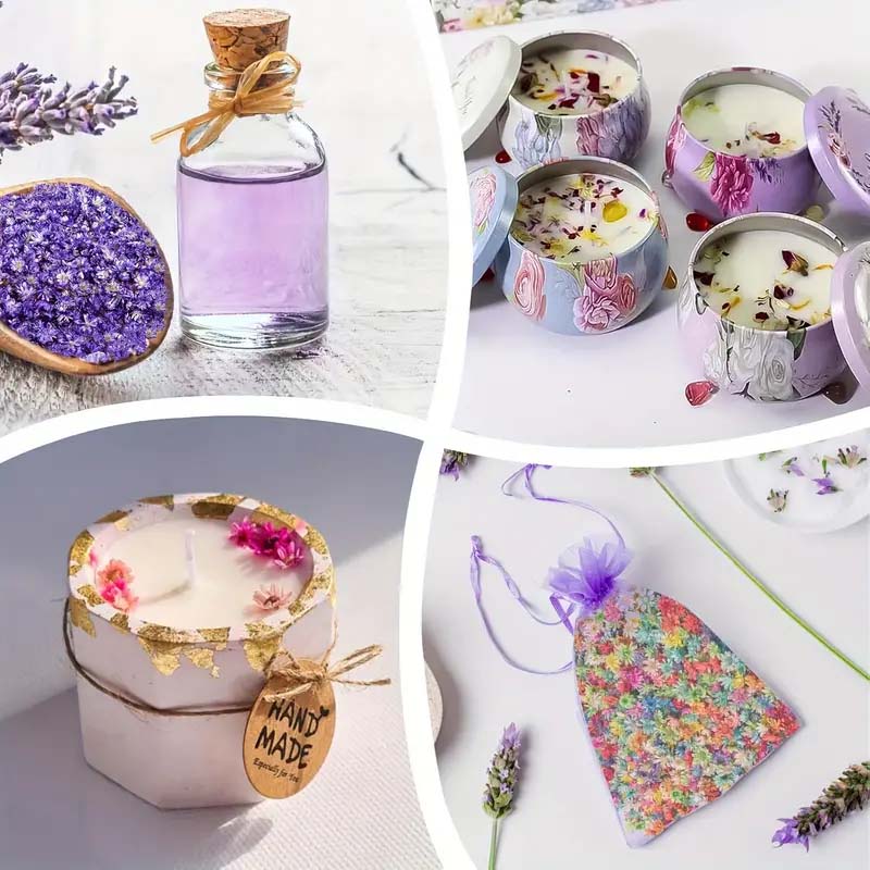 Fiori colorati misti per stamp - Candle Supplies Bulk recensione e prezzo